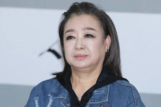 가수 혜은이. 지난해 12월 EBS 다큐멘터리 '싱어즈 - 시대와 함께 울고 웃다' 기자간담회에 참석한 모습이다. 연합뉴스
