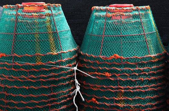 독도새우는 깊은 바다에 산다. 그래서 통발로만 잡을 수 있다. 손민호 기자