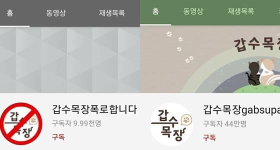 /사진=유튜브 캡처