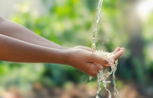 개에 물렸다면 바로 흐르는 물로 상처를 씻어주어야 한다