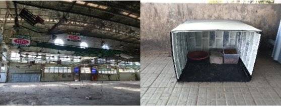 구월동 농산물 도매시장이 떠난 자리에 남은 고양이들은 캣맘들이 돌보고 있다. 심석용 기자