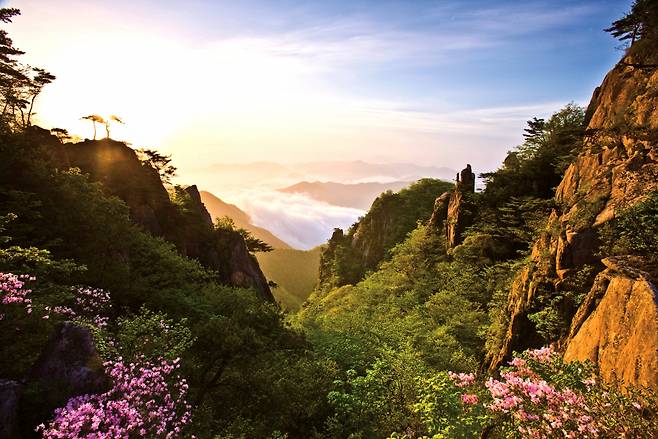 완주의 수호신, 대둔산의 봄 풍경 [완주군청 제공]
