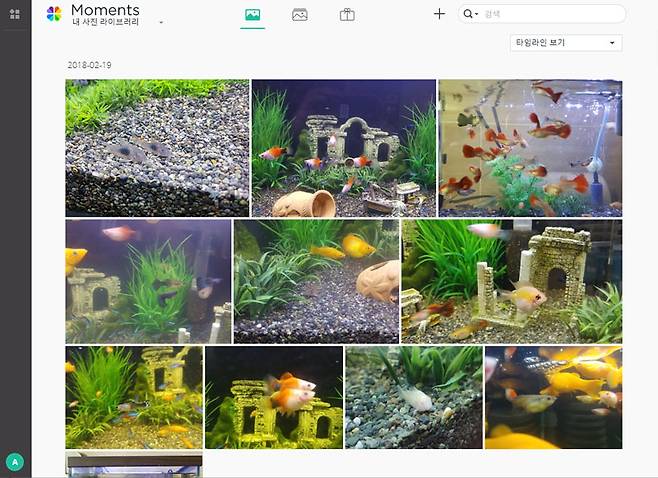 구글 포토를 연상시키는 NAS 전용 사진 관리 서비스 '모먼트'