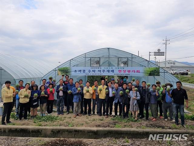 [함안=뉴시스] 함안군, 소과종 수박 지주재배 시험사업 현장 평가회 . (사진=함안군 제공). 2020.05.21. photo@newsis.com