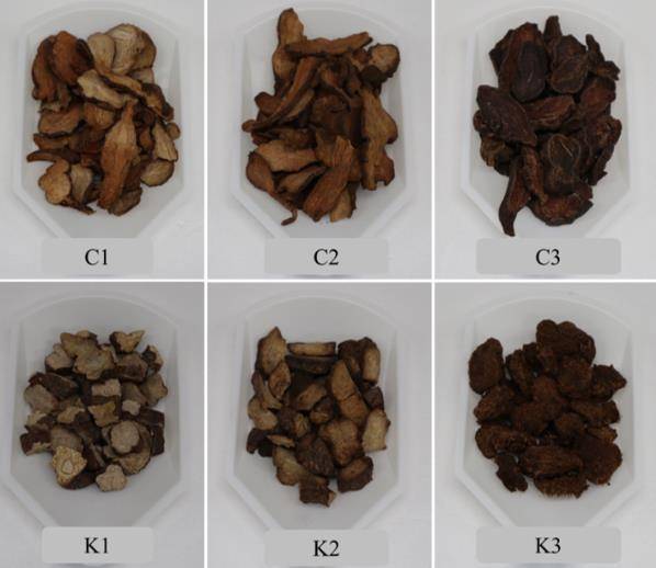 실험에 사용된 하수오 [한국한의학연구원 제공. 재판매 및 DB 금지]