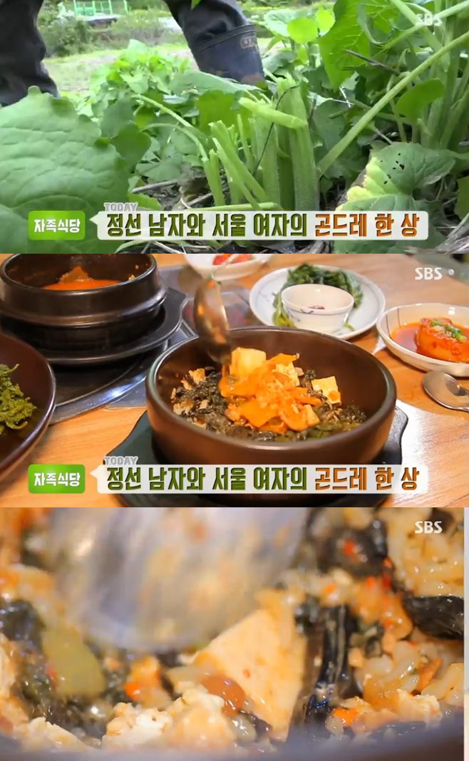 ‘생방송투데이 자족식당’ 곤드레정식 크을농 맛집, 200% 나물 밥상