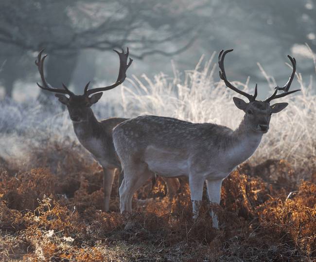 [네셔널지오그래픽]