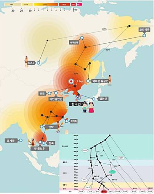 한국인과 동아시아인 기원 예측 모델에 기반한 한국인 혼혈과 관계된 고대와 현대 게놈들. 수만 년간 존재했던 많은 인족 중 게놈정보가 밝혀진 인족(회색 박스 내 혼혈 족보)들을 기준으로 삼아 한국인의 기원과 혼합을 컴퓨터로 예측한 그림. 클리노믹스 제공