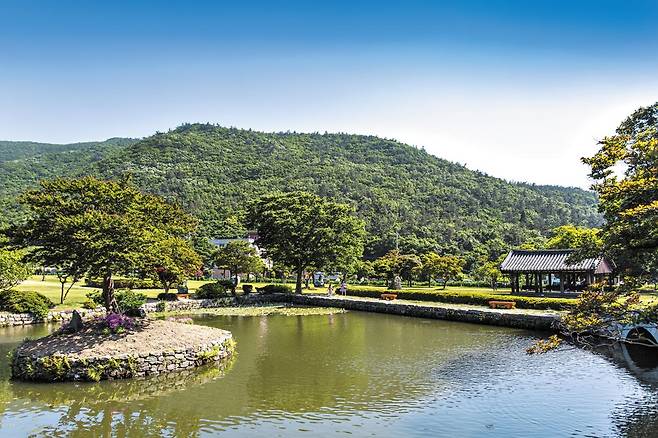 송가인의 고향 진도 ‘운림산방’의 그림 같은 풍경. 운림산방은 조선 후기 남종화의 대가 소치 허련의 화실이다. /이신영 영상미디어 기자