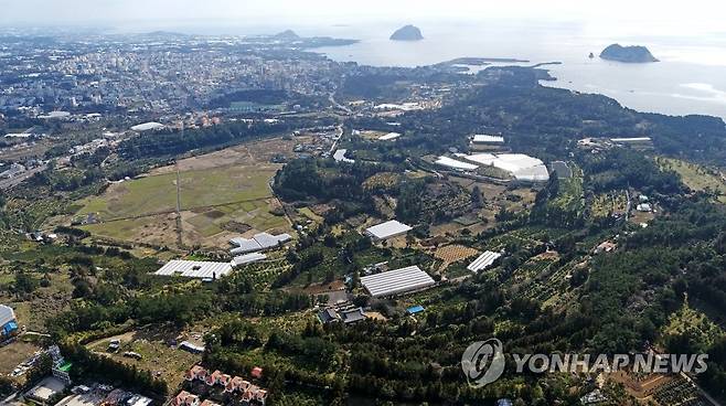 서귀포 하논 분화구 (서귀포=연합뉴스) 박지호 기자 = 6일 하늘에서 내려다 본 제주 서귀포시 하논 분화구의 모습. 2020.3.6 jihopark@yna.co.kr