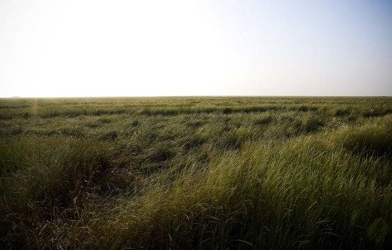 전북 부안군 변산면 새만금 간척지. BTS도 이곳에서 뮤직비디오와 앨범 사진을 촬영했다. [중앙포토]