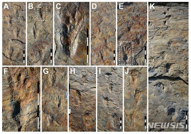 [진주=뉴시스] 사천 자혜리 원시악어 발자국 보행렬과 발자국.