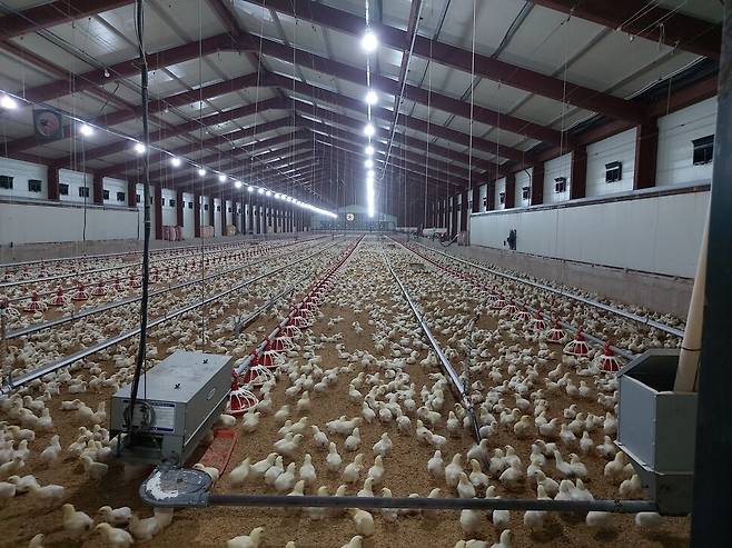 농식품부로부터 동물복지 인증을 받은 전북 정읍시 세연농장의 모습.