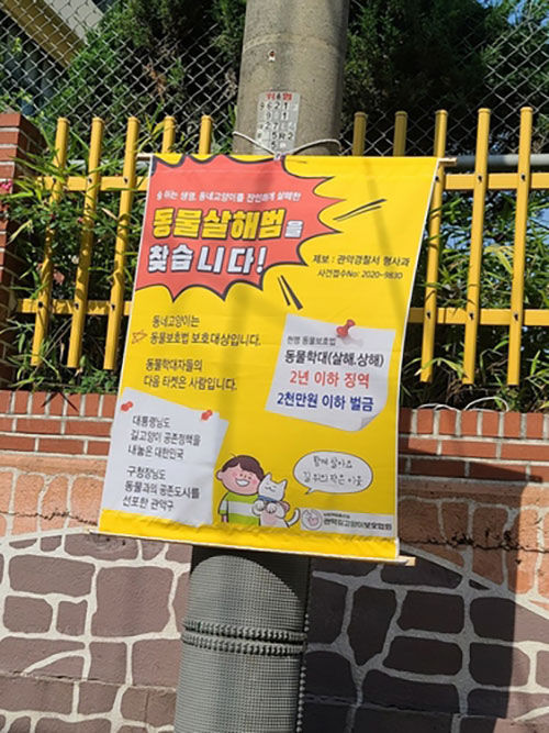 관악길고양이보호협회 제작 포스터 (사진=관악길고양이보호협회 제공, 연합뉴스)