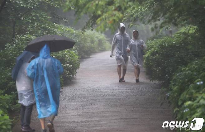 올해 첫 장맛비가 내리는 지난 10일 오후 제주 사려니숲길에서 우비를 쓴 관광객들이 여유를 즐기고 있다.  현재 기상청은 이 비를 시작으로 우리나라가 장마철에 들어가는 것으로 보고 있다. 이는 지난해와 비교해 15일 가량 이른 것이다. /사진=뉴스1