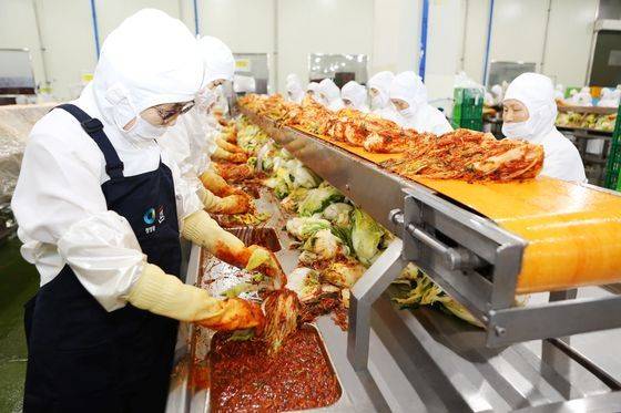 종가집 횡성공장에서 근로자가 김치를 만들고 있다. 사진 대상