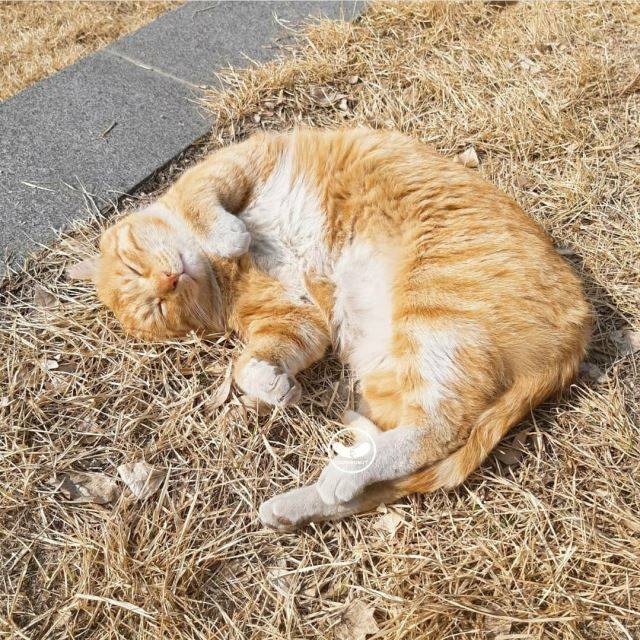 귀엽지? 나도 알고있다.