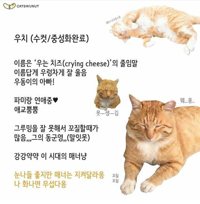 우치 프로필 사진.