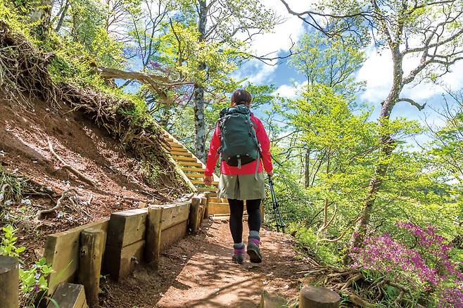 대표적인 야마걸 스타일. 하의는 레깅스 위에 반바지나 등산치마, 상의는 바람막이 점퍼나 체크무늬남방을 입는 것이 일반적이다.