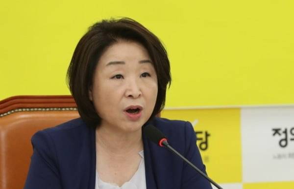 심상정 정의당 대표가 2일 오전 서울 여의도 국회에서 열린 상무위원회에서 발언하고 있다. /사진=연합뉴스
