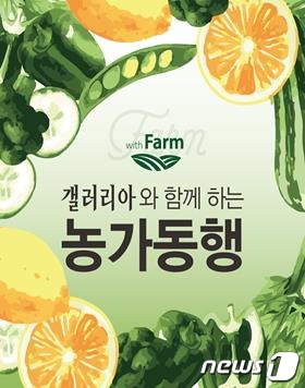 ‘위드팜 갤러리아 농가동행’ 행사 홍보물.© 뉴스1