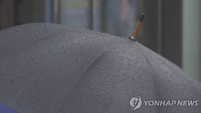 우산 [연합뉴스TV 제공]