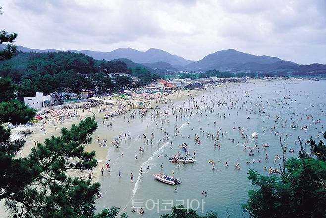 부안 해수욕장 5곳, 오는 11일 개장..8월 16일까지 37일간 운영