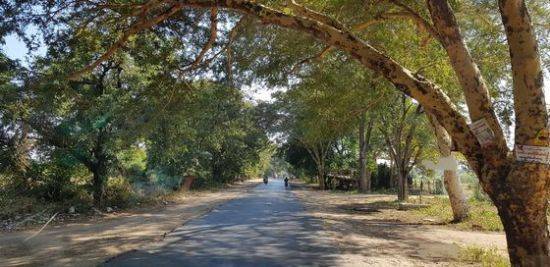 바간에서 만달레이로 가는 도로 풍경. [사진 조남대]