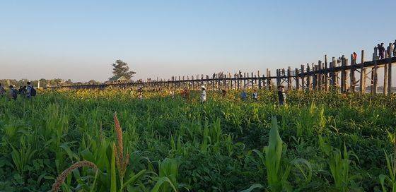 우베인다리 풍경. [사진 조남대]