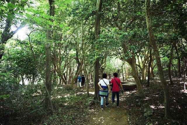 장춘계곡 숲길 산책로. 걷는 내내 그늘이다.