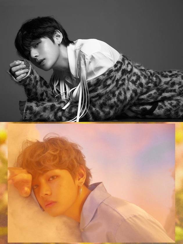 그룹 방탄소년단(BTS)의 뷔 / 사진제공=빅히트엔터테인먼트