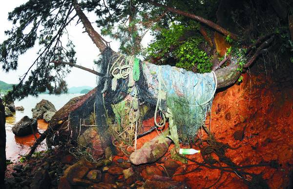 아름다운 풍광을 자랑하는 경남 통영시 동도에 버려진 폐그물이 나무를 칭칭 감고 있다.