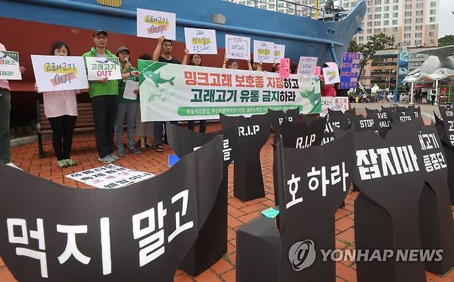 밍크고래 보호종 지정 요구하는 동물보호단체 [연합뉴스 자료사진]