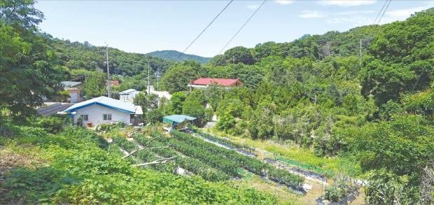 정부와 더불어민주당이 15일 국회에서 열린 당정협의에서 서울 지역 내 그린벨트 해제를 통한 대규모 주택 공급을 본격적으로 논의하기로 했다. 서울 서초구 내곡동 강남·서초예비군훈련장 일대.  신경훈 기자 khshin@hankyung.com