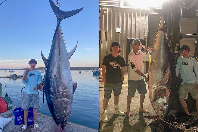 미국의 10대 소년 3명이 7시간 동안 씨름한 끝에 낚아 올린 참다랑어(참치)