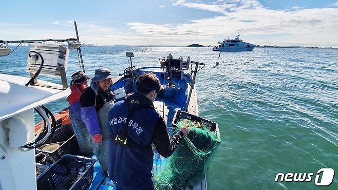 경기도는 깨끗한 경기바다를 도민에게 돌려주기 위해 지난달 29일부터 새벽과 주말 동안 집중적인 불법어업 행위 특별단속을 실시하고 있다.(경기도 제공)© 뉴스1