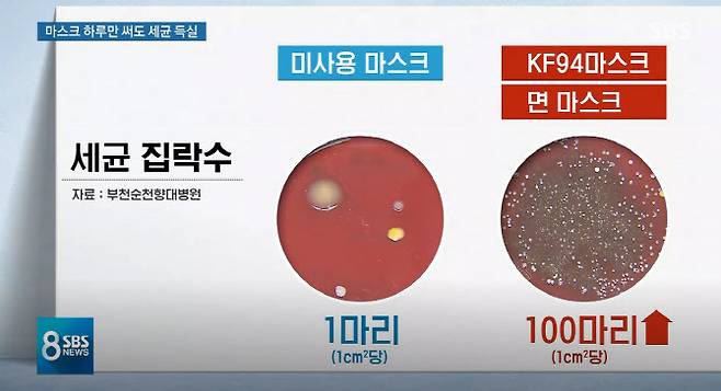 마스크 세균 집락수. (사진=SBS ‘뉴스8’ 방송화면)