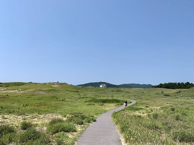 Sinduri Coastal Dune (Im Eun-byel / The Korea Herald)