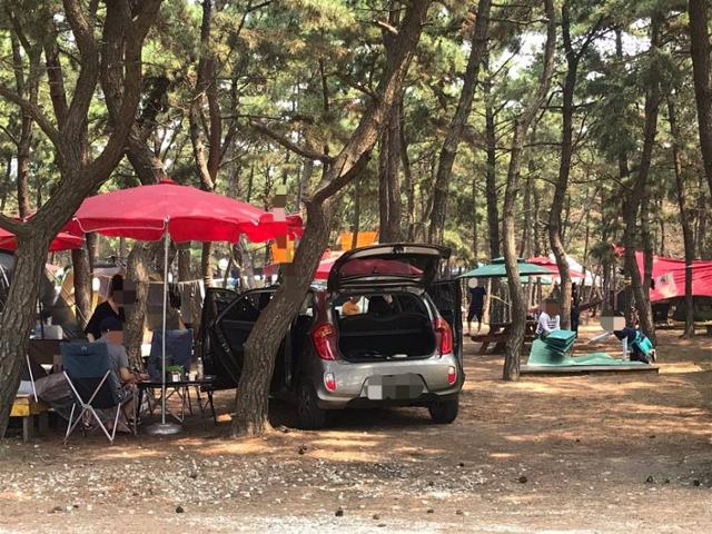 7월 18~19일 인천 중구 을왕리 해수욕장을 방문한 캠핑족들이 취사ㆍ야영이 금지된 구역에서 캠핑을 즐기고 있다. 독자 제공