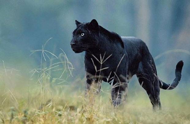 사진=미툰H 인스타그램