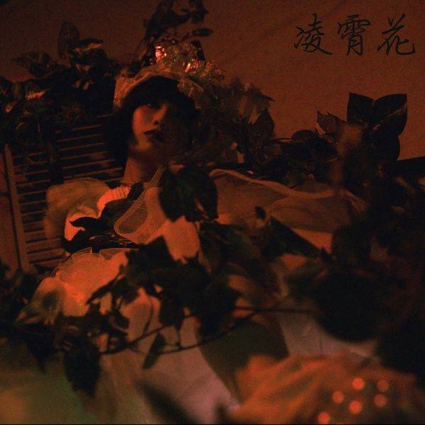 안예은 능소화 티저 / 사진=더블엑스엔터테인먼트 제공