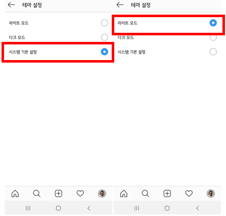 시스템 기본 설정과 라이트 모드 차이
