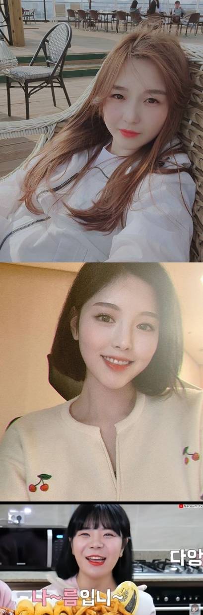 유튜버 문복희, 햄지, 나름이 뒷광고 논란에 대해 사과했다.  사진=문복희, 햄지SNs, 나름 유튜브 캡처