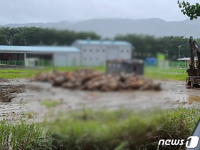 홍수로 폐사한  구례 양정마을의 한우들./뉴스1