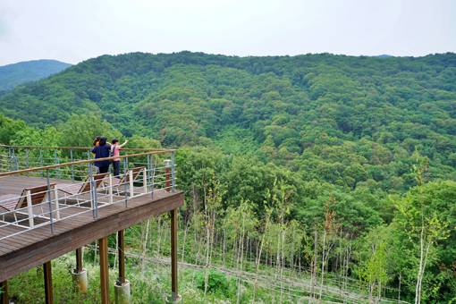 제천치유의숲 전망대에 올라서면 눈앞으로 금수산이 파노라마처럼 펼쳐진다. 사진제공｜한국관광공사