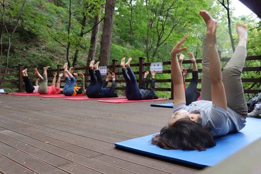 국립대관령치유의숲에서 진행하는 쏠소울테라피 프로그램에 참여해 건강체조를 즐기는 방문객들. 사진제공｜국립대관령치유의숲