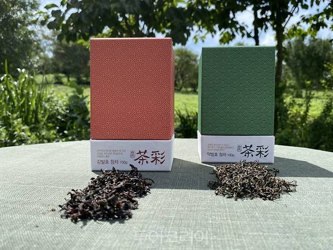꽃향 과일향 나는 '보성청차' 맛보러 보성여행!