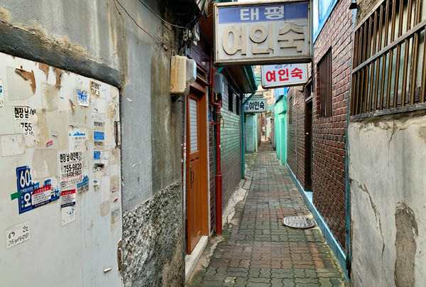 골목청과 이미지