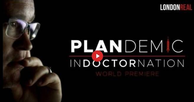 코로나19 관련 음모론을 펴는 영상 '플랜데믹' 첫 화면 갈무리