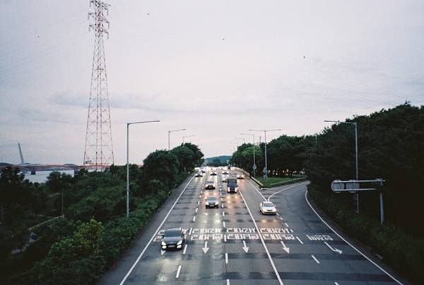 B씨가 필름 카메라로 직접 촬영한 사진. B씨 제공